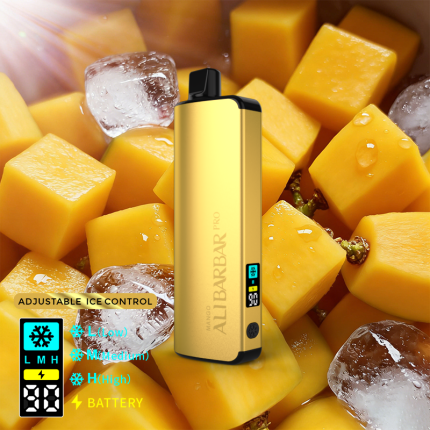 ALIBARBAR PRO 12000 Ice Adjust Mango - LocalCigSupplies Australia